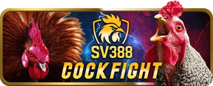 Biểu tượng hoàn trả tiền mặt hàng ngày cho cá cược thể thao keovip win